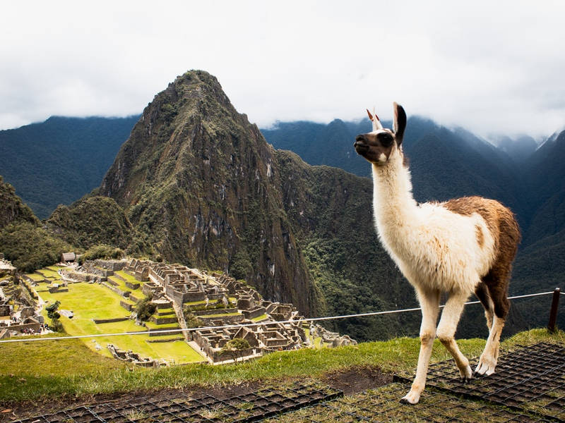 Vivre des vacances sensationnelles durant des Pérou prestiges voyages